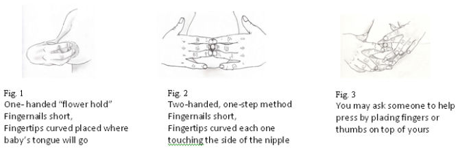 figure 1. one handed flower hold, fingernails short, fingertips curved placed where baby’s tongue will go. figure 2. two handed one step method, fingernails short, fingertips curved touch the side of the nipple. figure 3. You may ask someone to help press by placing thumbs or fingers on top of yours.