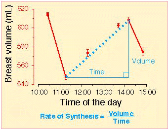 Chart: Calculation of the rate of milk synthesis